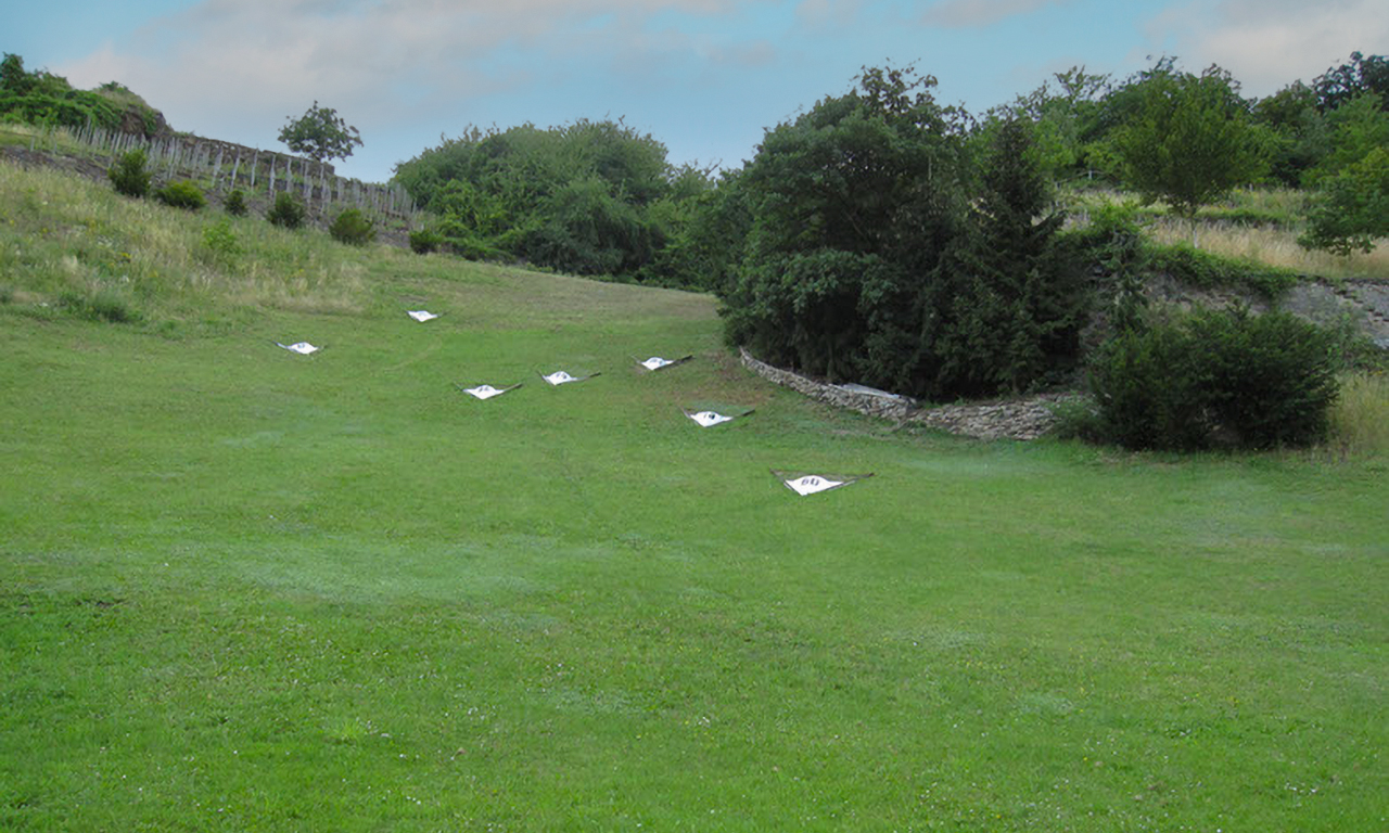 Berggolf in Winningen