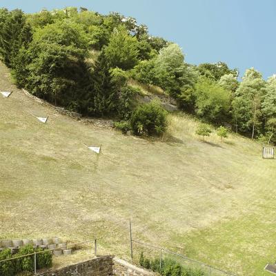 Bild 3 | Aug 2025 | Berggolf Winningen